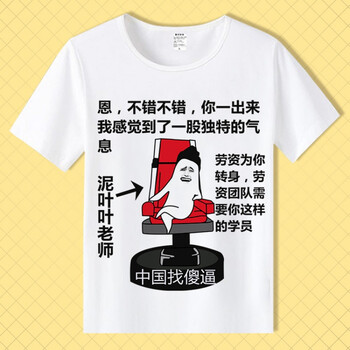 t恤 短袖男女情侣段友 恶搞笑表情包带文字暴走漫画衣服 白12  中国找