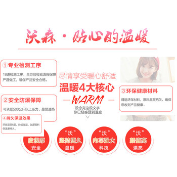 沃森泰迪狗 电热水袋 暖手宝  热水袋 暖宝宝充电 暖水袋  毛绒 安全防暴 双插手 泰迪狗0801轮盘