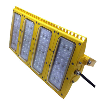弗朗（IRE）BRE868-JD 防爆灯 LED 300W