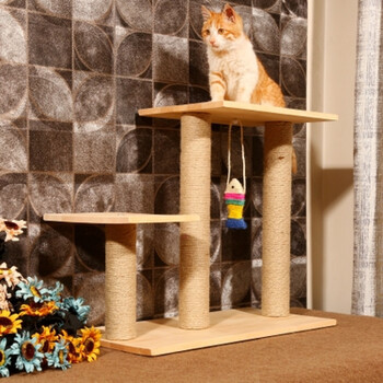 猫抓板磨爪器板垫实木猫爬架跳台猫窝猫猫咪家具娃娃剑麻用松木实木便宜实心玩具图片