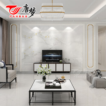 唐梦瓷砖 仿大理石电视背景墙瓷砖现代简约客厅微晶石影视墙 春风得意
