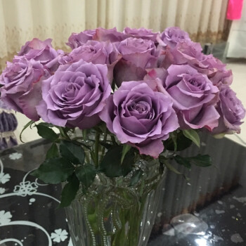 云南鲜切花情人节玫瑰花鲜花 家庭插花婚礼多种玫瑰颜色 紫霞仙子18枝