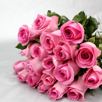 鲜花速递 鲜花 其他品牌 云南昆明基地新鲜玫瑰鲜花 红玫瑰花束家庭
