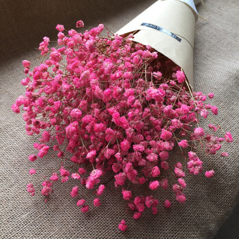 干花花束干花勿忘我真花风干客厅装饰花永生花干花满天星 粉色满天星