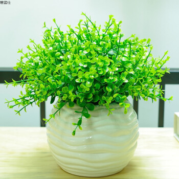 仿真植物仿真绿植套装摆件假草小盆栽装饰花艺塑料假花套装 小米兰叶