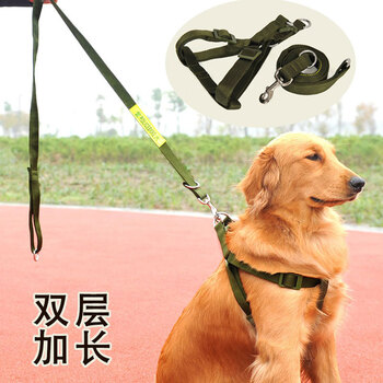 宠物狗狗牵引绳 大型犬中型犬狗绳子狗链子金毛萨摩胸背带牵引带 160CM【图片 价格 品牌 报价】-京东