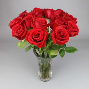 (深夜花园)北京同城生日鲜花速递送花上门居家庭插花瓶生活办公室玫瑰