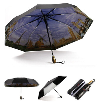 
                                        菲亚莉 雨伞 女 双层黑胶油画伞 晴雨两用Umbrella 紫色                