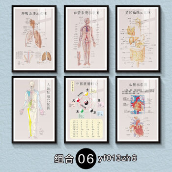 五行经络艾灸有框装饰挂画养生会所中医馆诊所美容院品挂图贴墙壁 06