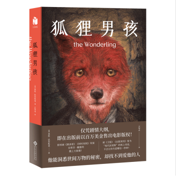 预售 狐狸男孩 外国文学小说