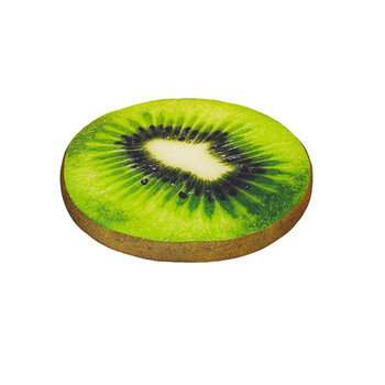 绒域坊春夏狗猫窝宠物垫水果中小型狗窝泰迪可