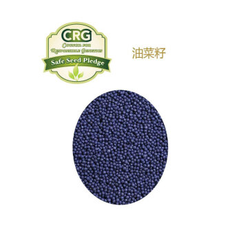 FASHY费许德国原装进口6374宠物狗油菜籽颈椎热敷袋 浅蓝色6374