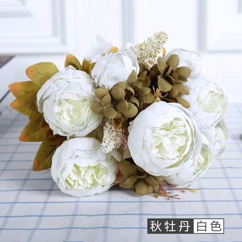 秋牡丹-白色(不含瓶【图片 价格 品牌 报价-京东