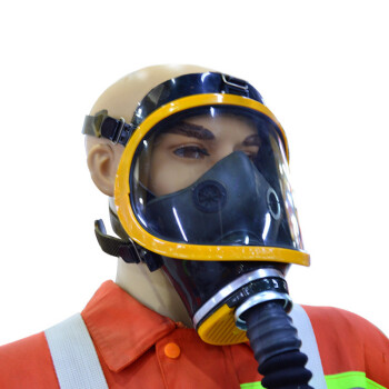 星工（XINGGONG）电动送风式长管呼吸器 消防器材 20米单人
