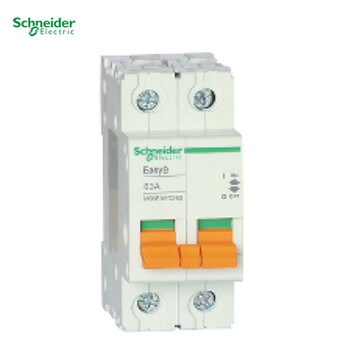 施耐德电气 微型隔离开关 EA9D 2P 63A;MGNEA9D263