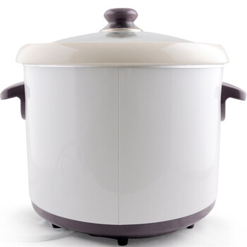 
                                        天际(TONZE)DDG-W320N电炖锅煲汤锅2L                