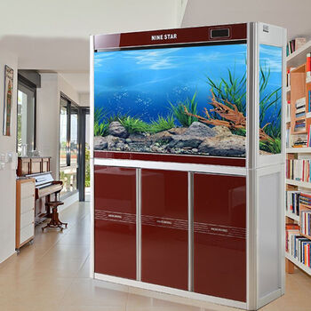 闽江 新款时尚鱼缸水族箱生态中型龙鱼缸 1米