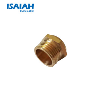 ISAIAH 气管接头 微型消声器 BSLM 快速插接头 气动元件 气动接头 BSLMM5