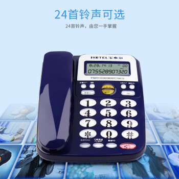 宝泰尔（BOTEL）电话机座机 固定电话 办公家用 免电池/大按键  T121 蓝色