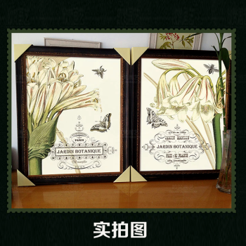 名帛 美式客厅装饰画沙发背景墙装饰画欧式卧室简约画玄关挂画餐厅壁画花卉有框画书房百合花 B款 宽66cm*高81cm带框成品