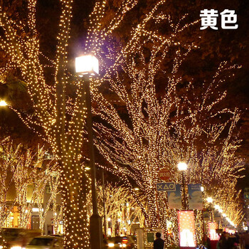 新品 led小彩灯闪灯串灯满天星户外防水室外节日圣诞树灯霓虹装饰灯带