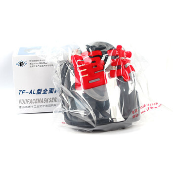 唐丰TF-AL型大视野全面罩防工业粉尘喷漆防有气体全面罩*1个