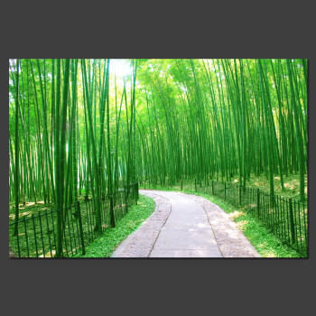3d立体视觉感绿色竹子风景森林荫壁纸电视背景墙自粘墙贴客厅壁画 6