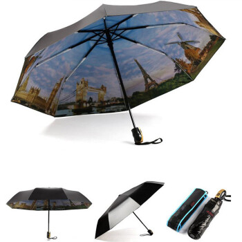 
                                        菲亚莉 雨伞 女 双层黑胶油画伞 晴雨两用Umbrella 紫色                