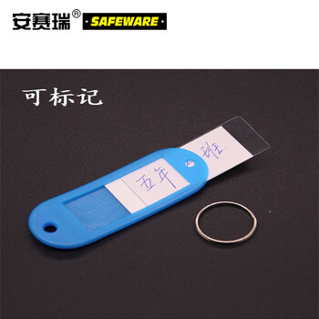 安赛瑞 塑料钥匙牌（100个装） 天蓝 钥匙管理箱专用钥匙牌 彩色分类钥匙牌 可书写编号钥匙牌 13412
