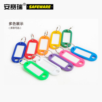 安赛瑞 塑料钥匙牌（100个装） 天蓝 钥匙管理箱专用钥匙牌 彩色分类钥匙牌 可书写编号钥匙牌 13412