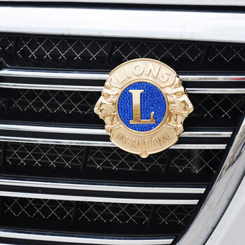 麦光 适用汽车专用中网车标金属中网标前皇家