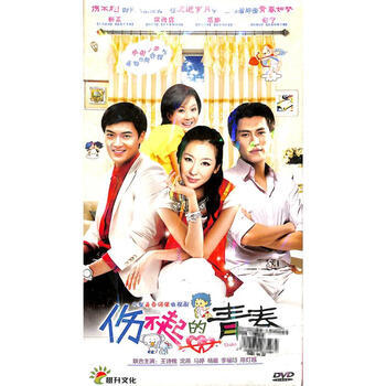 伤不起的青春-大型青春偶像电视剧(六碟装原装