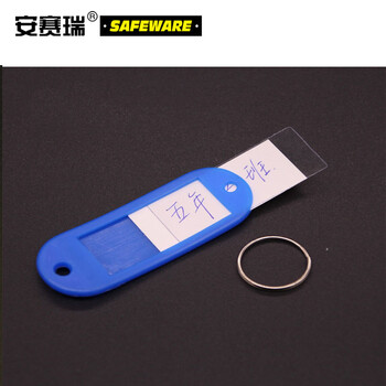 安赛瑞 塑料钥匙牌（100个装） 深蓝 钥匙管理箱专用钥匙牌 彩色分类钥匙牌 可书写编号钥匙牌 13413
