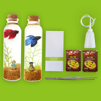 白领公社 迷你鱼缸 观赏鱼缸生态瓶小鱼缸造景