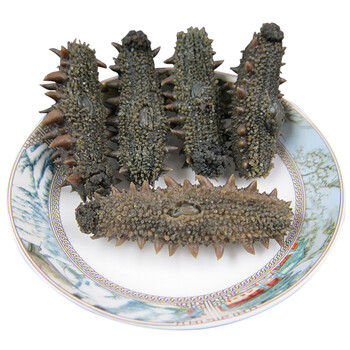 珍力半干海参谷物候拉缸盐大连海参比淡干即星露鲶鱼语大火着迷图片