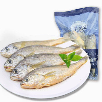 贝壳爷爷 东海小黄鱼(500g\/6-7条) 吕四渔港直