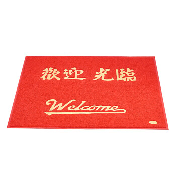兰诗（LAUTEE）LS-1029 拉丝款欢迎光临地垫防滑门垫 80*120CM