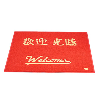 兰诗(LAUTEE)LS-1031 拉丝款欢迎光临地垫防滑门垫 120*180CM