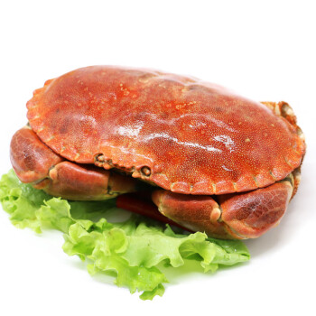御鲜轩英国进口熟冻面包蟹600800g1只母螃蟹袋装海鲜年货新蟹