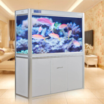 森森 新款鱼缸水族箱生态鱼缸中型龙鱼缸 1米