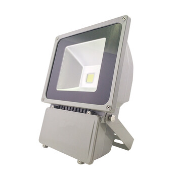 海阁拉斯 LED投光灯 70W100W户外景观照明灯具 70W七彩 220v