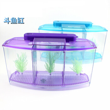 旷奇斗鱼鱼缸 隔离缸斗鱼盒 两格孵化繁殖 亚克
