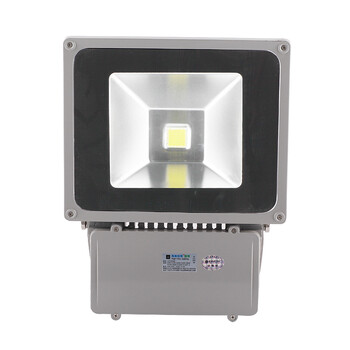 海阁拉斯 LED投光灯 70W100W户外景观照明灯具 70W七彩 220v
