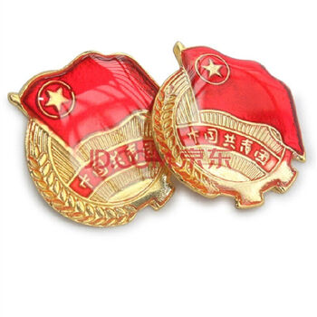 《中国共产主义青年团章程 团旗 新版团员章程