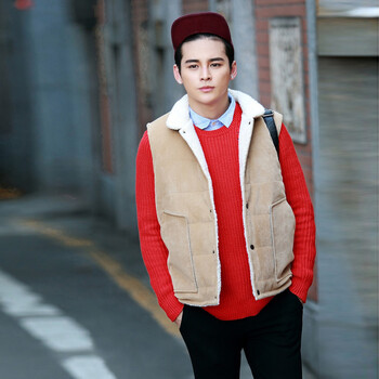 丹杰仕 2014秋冬款时尚立领<em>男马甲</em>加绒韩版修