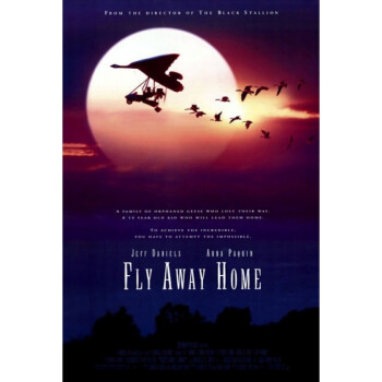 润年华伴你高飞/返家十万里 fly away home 经典电影