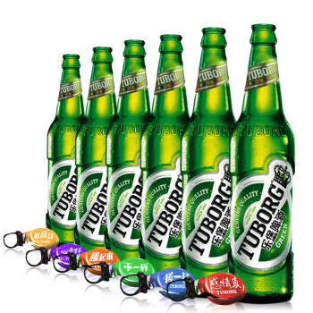 嘉士伯乐堡啤酒(tuborg)拉环盖小瓶装啤酒330mlktv啤酒 6瓶330ml