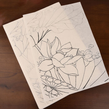 工笔画熟宣 白描底稿临摹练习初学者入门国画水彩花鸟牡丹勾线熟宣纸