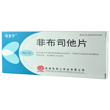 风定宁 非布司他片 40mg*12片
