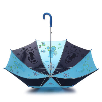 天堂伞 家有宝贝直杆手开儿童晴雨伞13013E青兰色